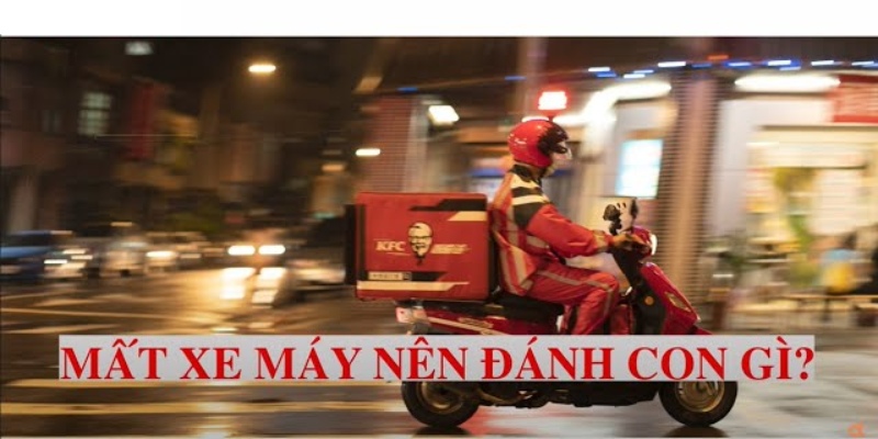 Xe đạp là phương tiện giản dị, đầy thân thuộc