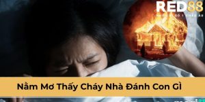 nằm mơ thấy cháy nhà đánh con gì